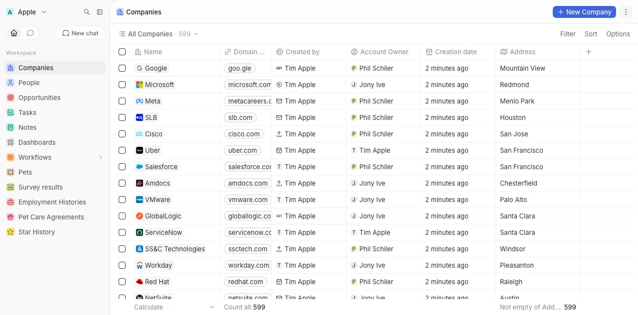 TwentyのCompaniesビュー。シードデータの企業が599社表示されている